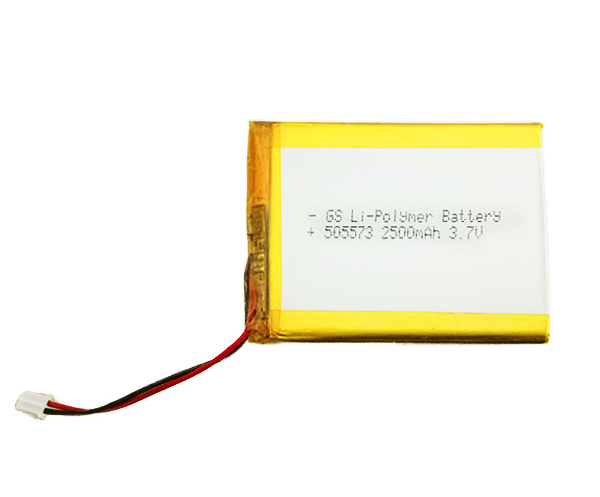 Li-Polymer Battery 505573 2500mAh 3.7V