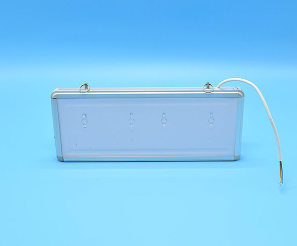 Emergency Exit Lighting GS-ES17