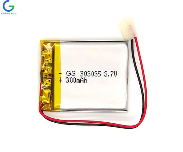 Lithium Polymer Battery