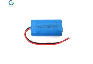 LiFePO4 Battery